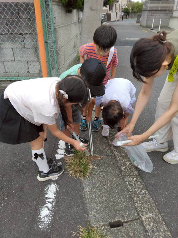 ゴミ拾いの様子